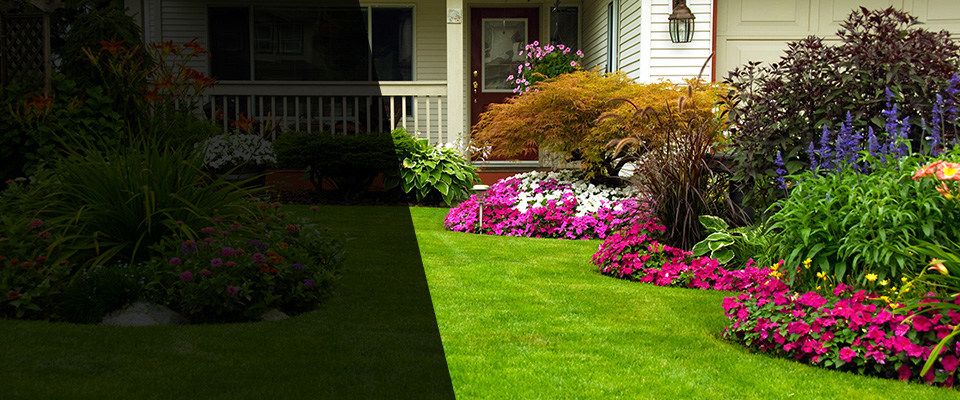 Strafford Landscapers